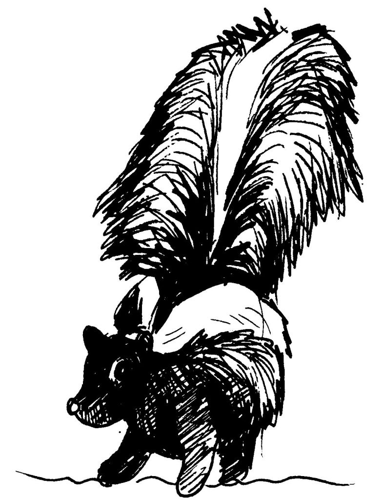 Malvorlage: Skunk (Tiere) #11192 - Kostenlose Malvorlagen zum Ausdrucken