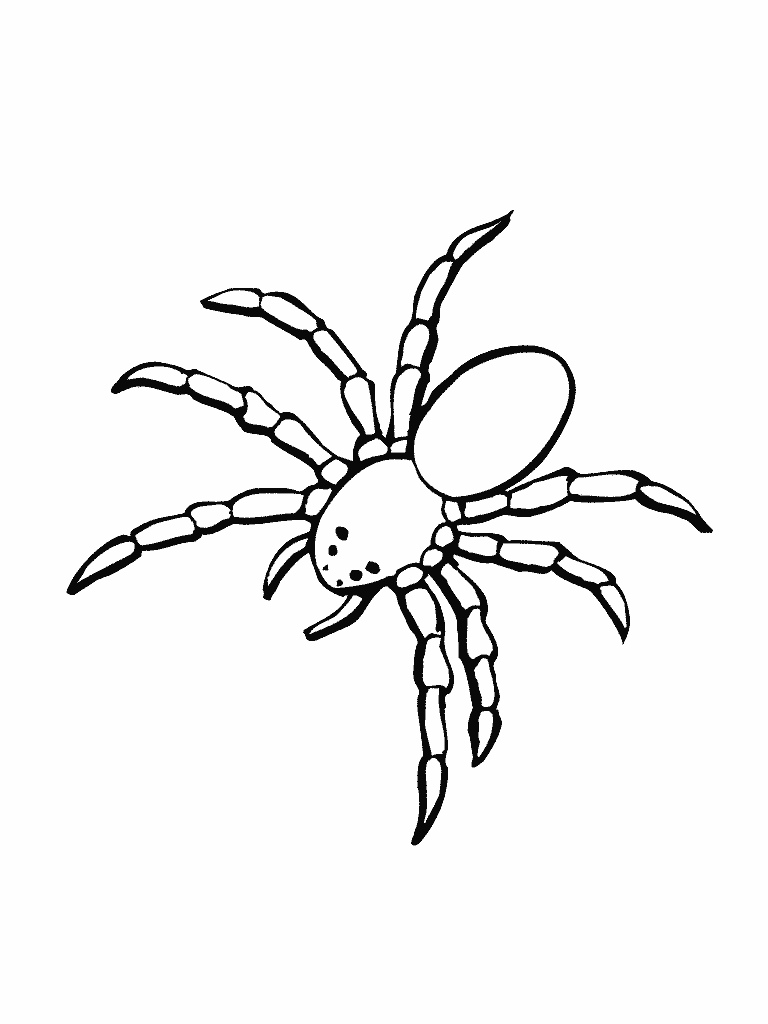Malvorlage: Spinne (Tiere) #583 - Kostenlose Malvorlagen zum Ausdrucken