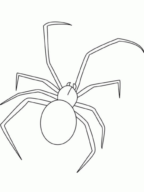 Malvorlage: Spinne (Tiere) #613 - Kostenlose Malvorlagen zum Ausdrucken