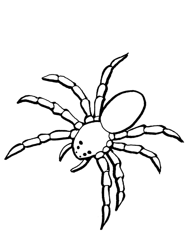 Malvorlage: Spinne (Tiere) #621 - Kostenlose Malvorlagen zum Ausdrucken