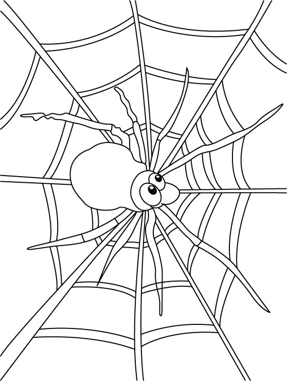 Malvorlage: Spinne (Tiere) #648 - Kostenlose Malvorlagen zum Ausdrucken