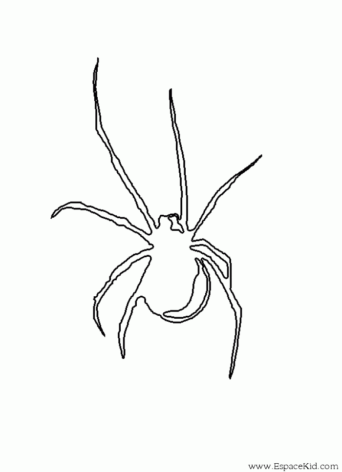 Malvorlage: Spinne (Tiere) #649 - Kostenlose Malvorlagen zum Ausdrucken