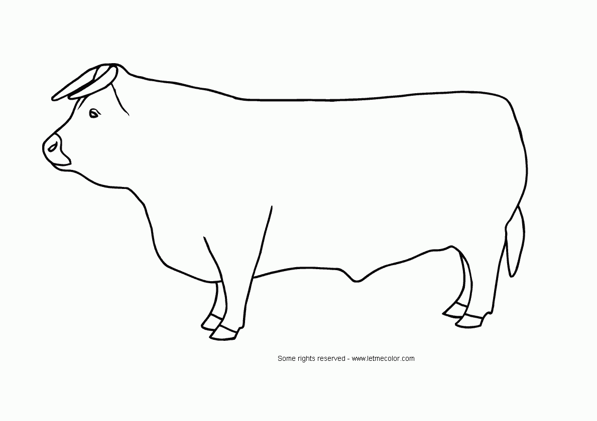 Malvorlage: Stier (Tiere) #13801 - Kostenlose Malvorlagen zum Ausdrucken