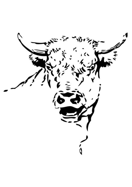 Malvorlage: Stier (Tiere) #13821 - Kostenlose Malvorlagen zum Ausdrucken