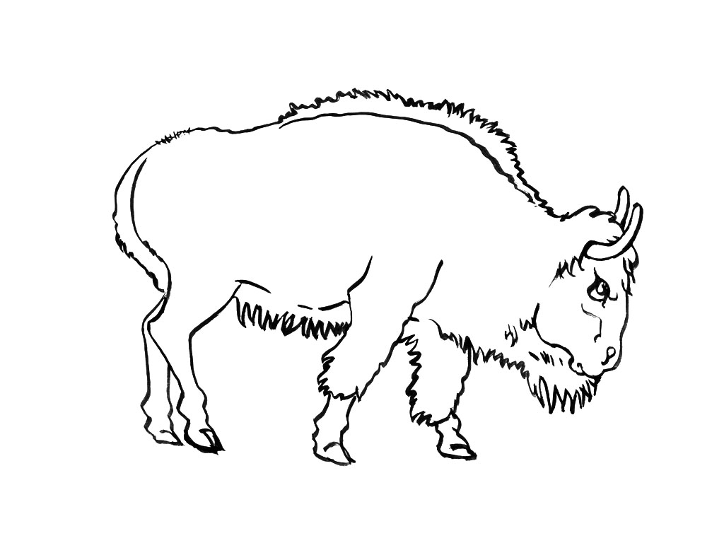 Malvorlage: Stier (Tiere) #13855 - Kostenlose Malvorlagen zum Ausdrucken