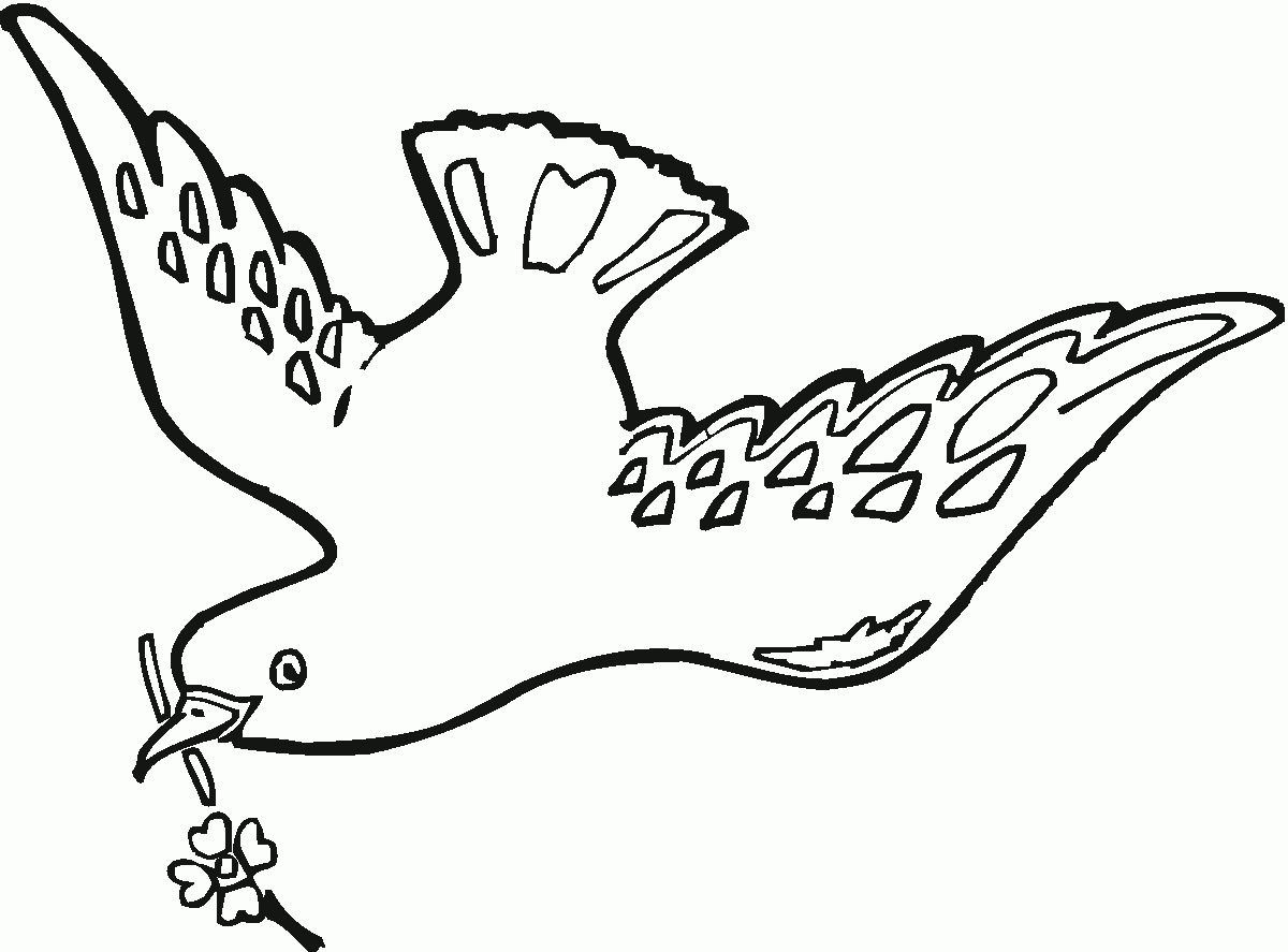 Malvorlage: Taube (Tiere) #4028 - Kostenlose Malvorlagen zum Ausdrucken