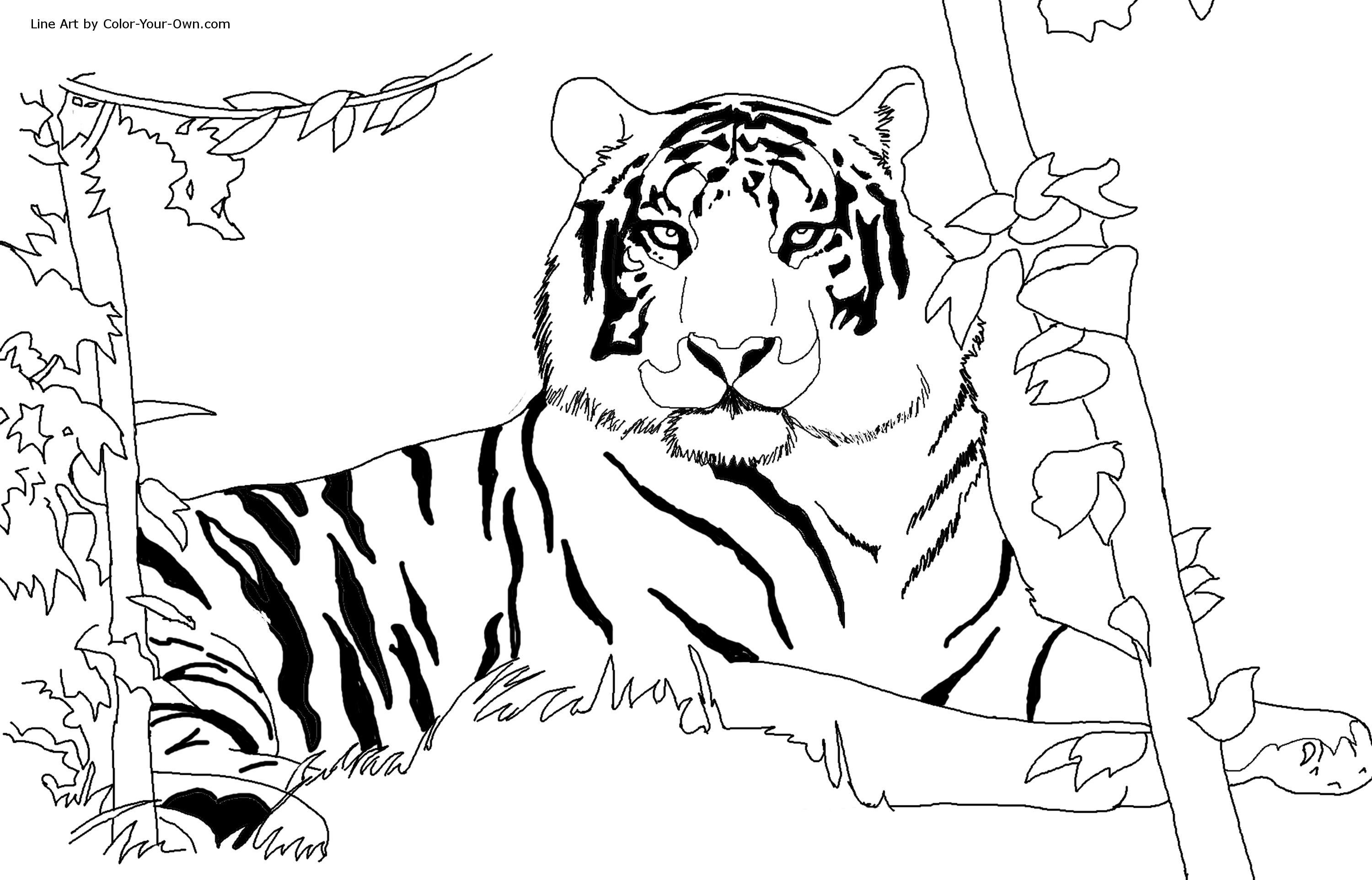 Malvorlage: Tiger (Tiere) #13590 - Kostenlose Malvorlagen zum Ausdrucken
