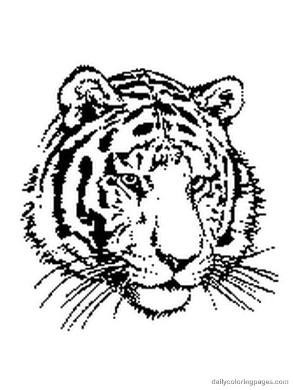 Malvorlage: Tiger (Tiere) #13592 - Kostenlose Malvorlagen zum Ausdrucken