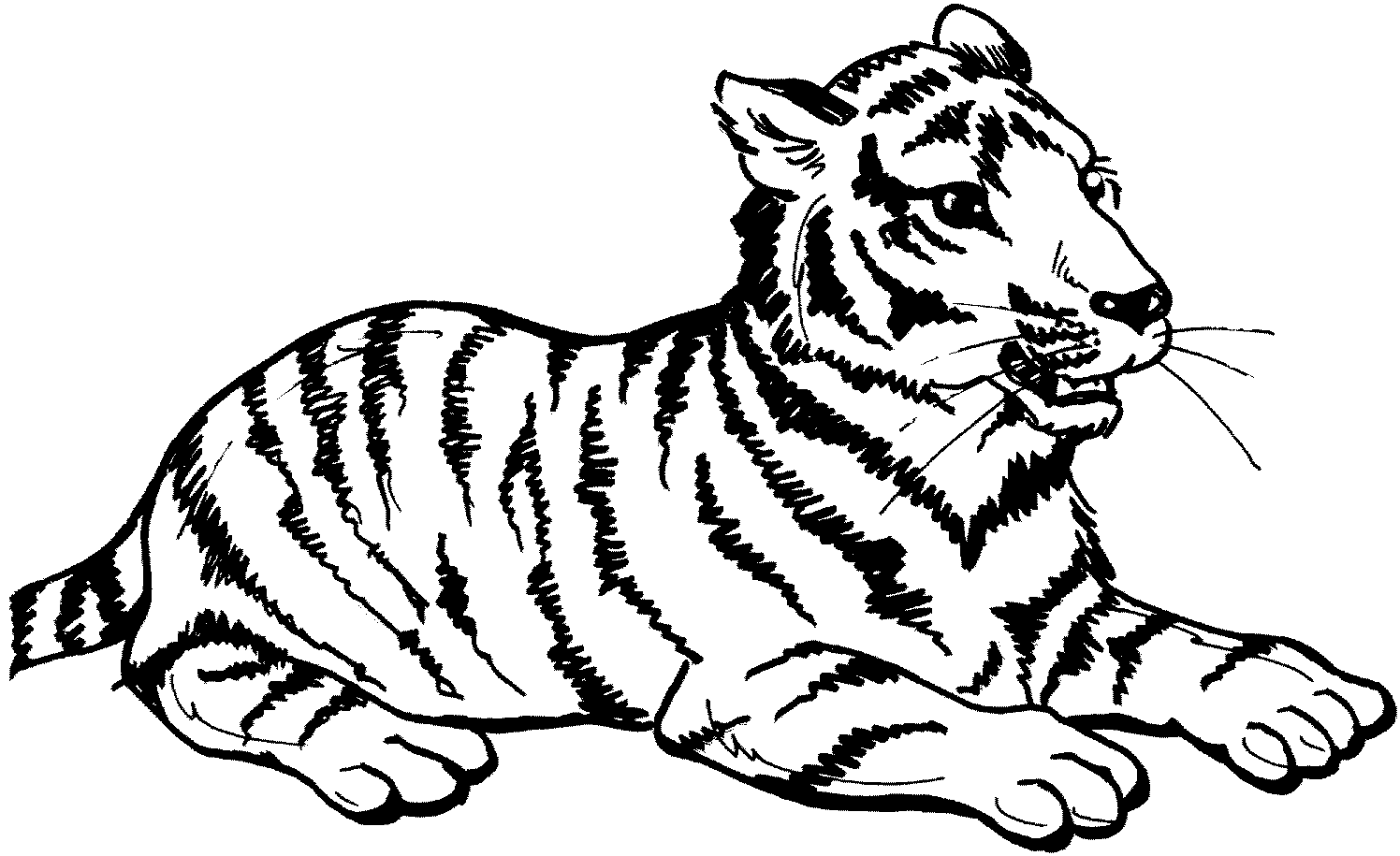 Malvorlage: Tiger (Tiere) #13597 - Kostenlose Malvorlagen zum Ausdrucken