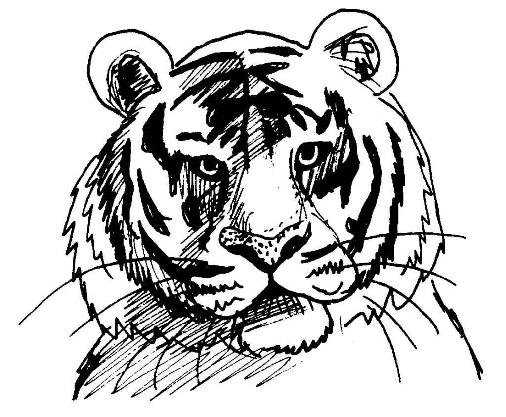 Malvorlage: Tiger (Tiere) #13610 - Kostenlose Malvorlagen zum Ausdrucken