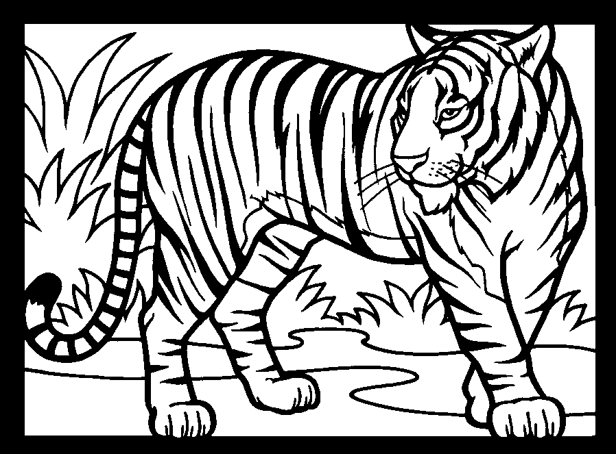 Malvorlage: Tiger (Tiere) #13615 - Kostenlose Malvorlagen zum Ausdrucken