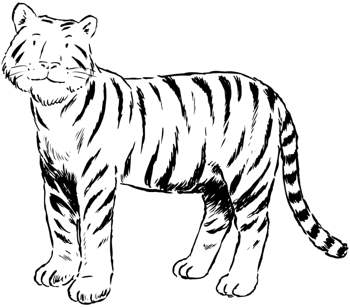 Malvorlage: Tiger (Tiere) #13621 - Kostenlose Malvorlagen zum Ausdrucken