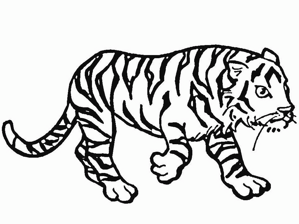 Malvorlage: Tiger (Tiere) #13629 - Kostenlose Malvorlagen zum Ausdrucken
