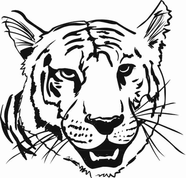 Malvorlage: Tiger (Tiere) #13666 - Kostenlose Malvorlagen zum Ausdrucken