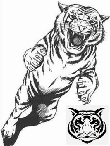 Malvorlage: Tiger (Tiere) #13672 - Kostenlose Malvorlagen zum Ausdrucken