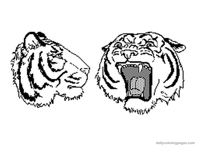 Malvorlage: Tiger (Tiere) #13697 - Kostenlose Malvorlagen zum Ausdrucken