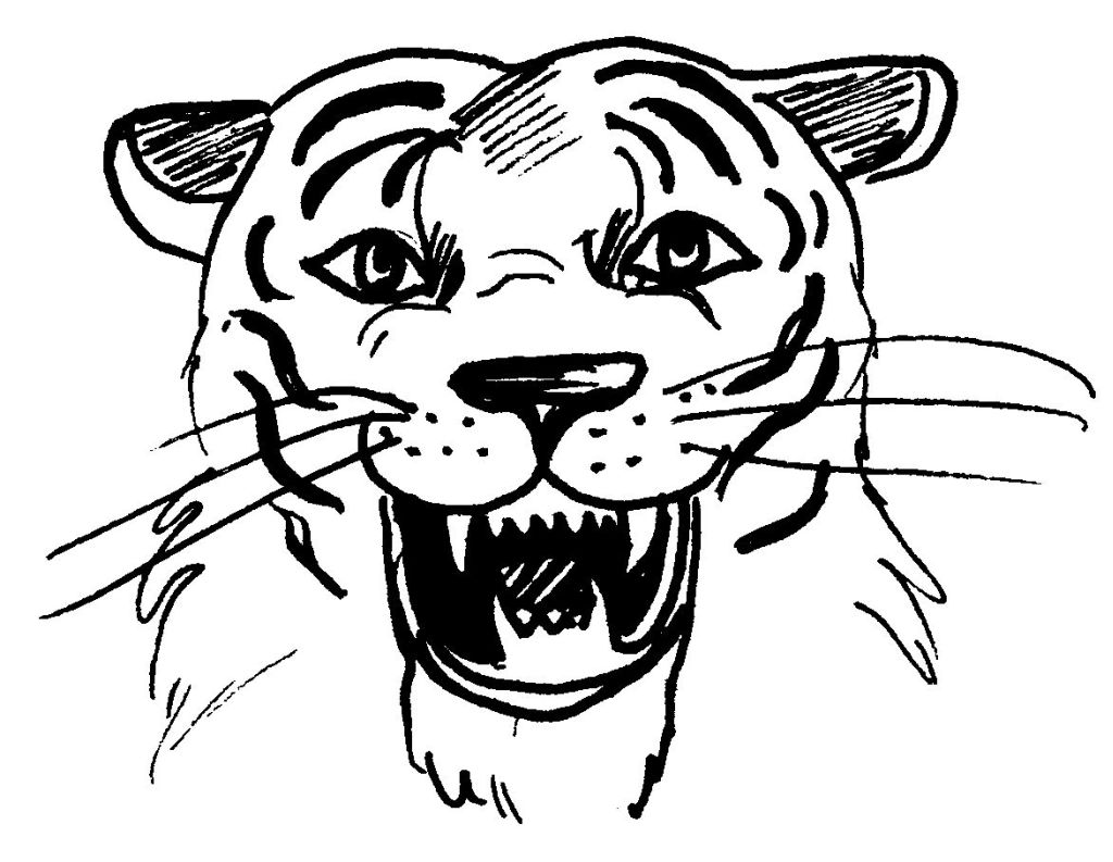 Malvorlage: Tiger (Tiere) #13716 - Kostenlose Malvorlagen zum Ausdrucken
