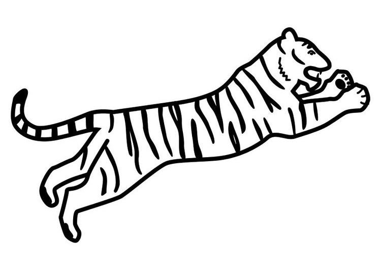 Malvorlage: Tiger (Tiere) #13780 - Kostenlose Malvorlagen zum Ausdrucken
