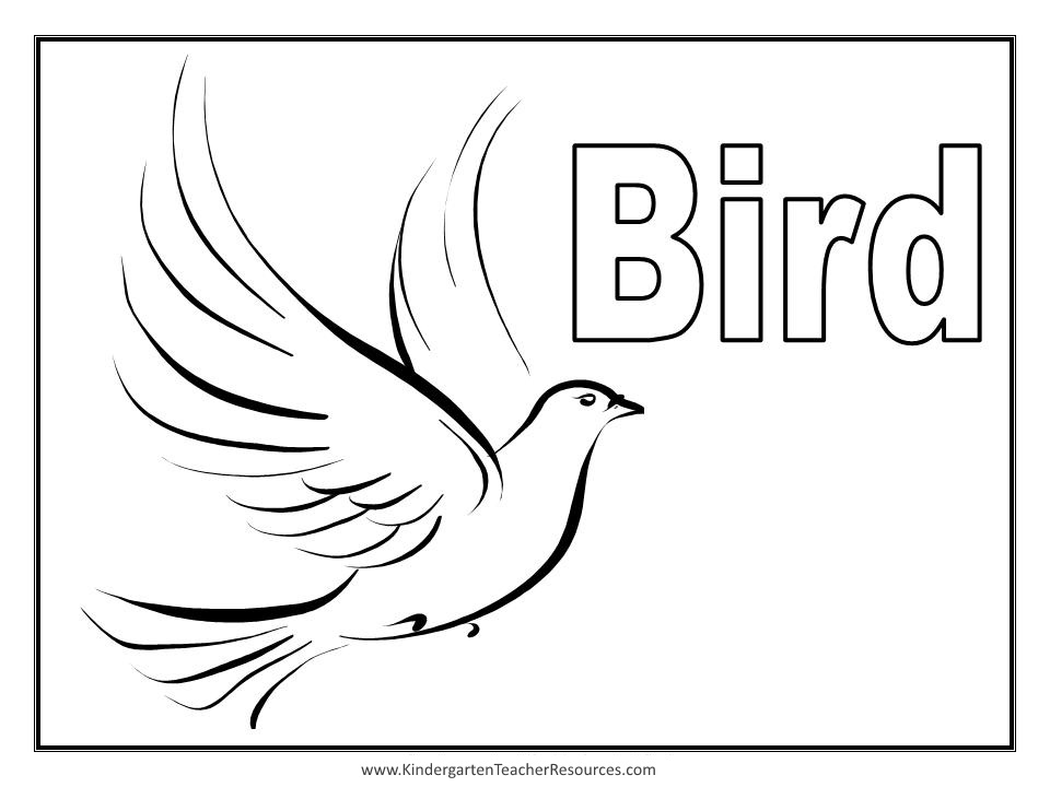 Malvorlage: Vögel (Tiere) #11907 - Kostenlose Malvorlagen zum Ausdrucken