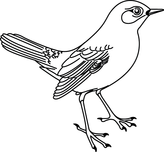 Malvorlage: Vögel (Tiere) #11913 - Kostenlose Malvorlagen zum Ausdrucken