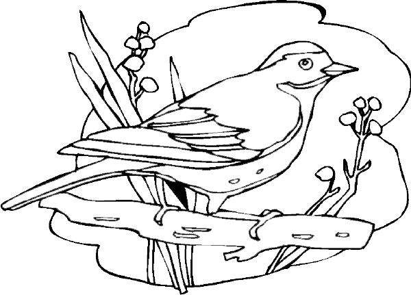 Malvorlage: Vögel (Tiere) #11921 - Kostenlose Malvorlagen zum Ausdrucken