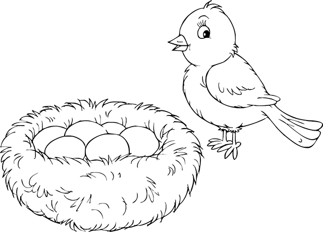 Malvorlage: Vogelbabys (Tiere) #20304 - Kostenlose Malvorlagen zum Ausdrucken