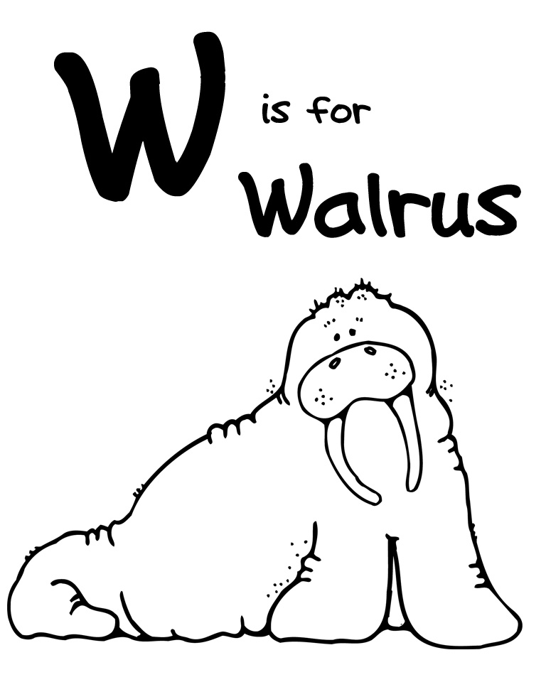 Malvorlage: Walross (Tiere) #16502 - Kostenlose Malvorlagen zum Ausdrucken