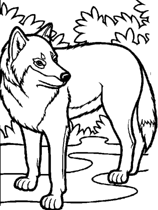 Malvorlage: Wolf (Tiere) #10448 - Kostenlose Malvorlagen zum Ausdrucken