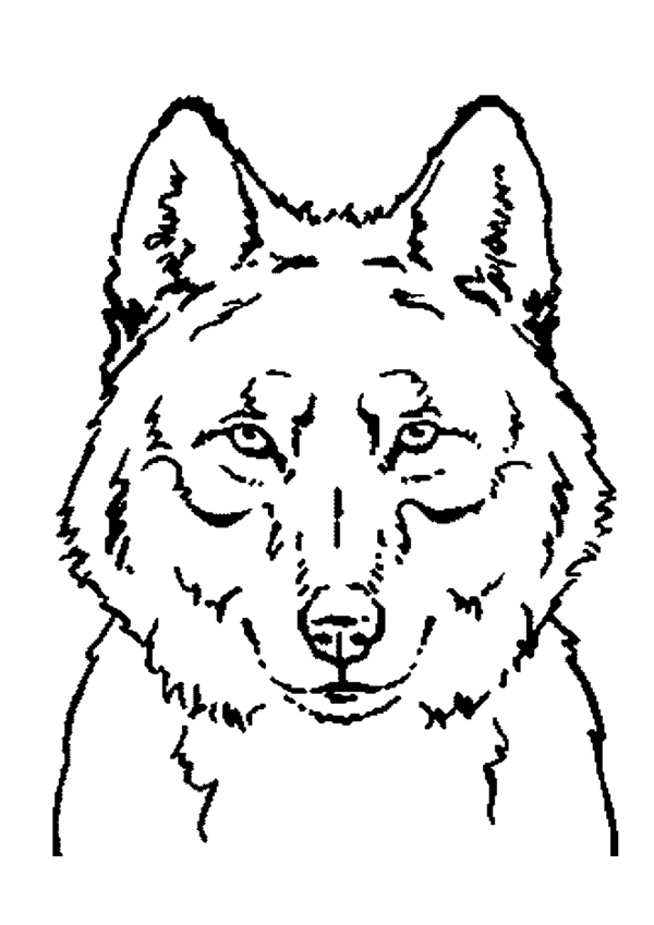 Malvorlage: Wolf (Tiere) #10450 - Kostenlose Malvorlagen zum Ausdrucken