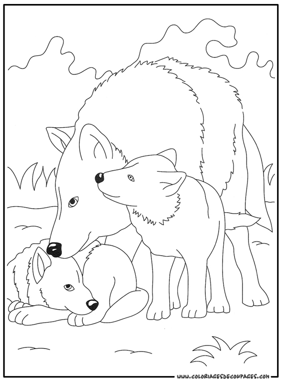 Malvorlage: Wolf (Tiere) #10491 - Kostenlose Malvorlagen zum Ausdrucken