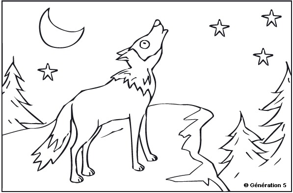 Malvorlage: Wolf (Tiere) #10558 - Kostenlose Malvorlagen zum Ausdrucken