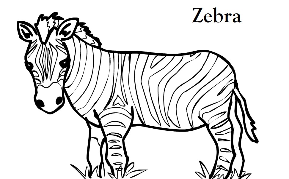 Malvorlage: Zebra (Tiere) #12938 - Kostenlose Malvorlagen zum Ausdrucken