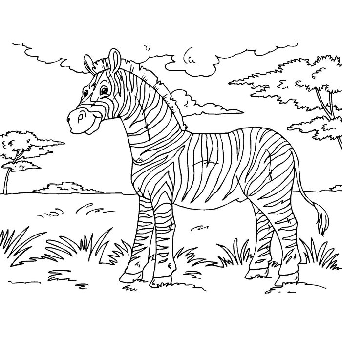 Malvorlage: Zebra (Tiere) #12943 - Kostenlose Malvorlagen zum Ausdrucken