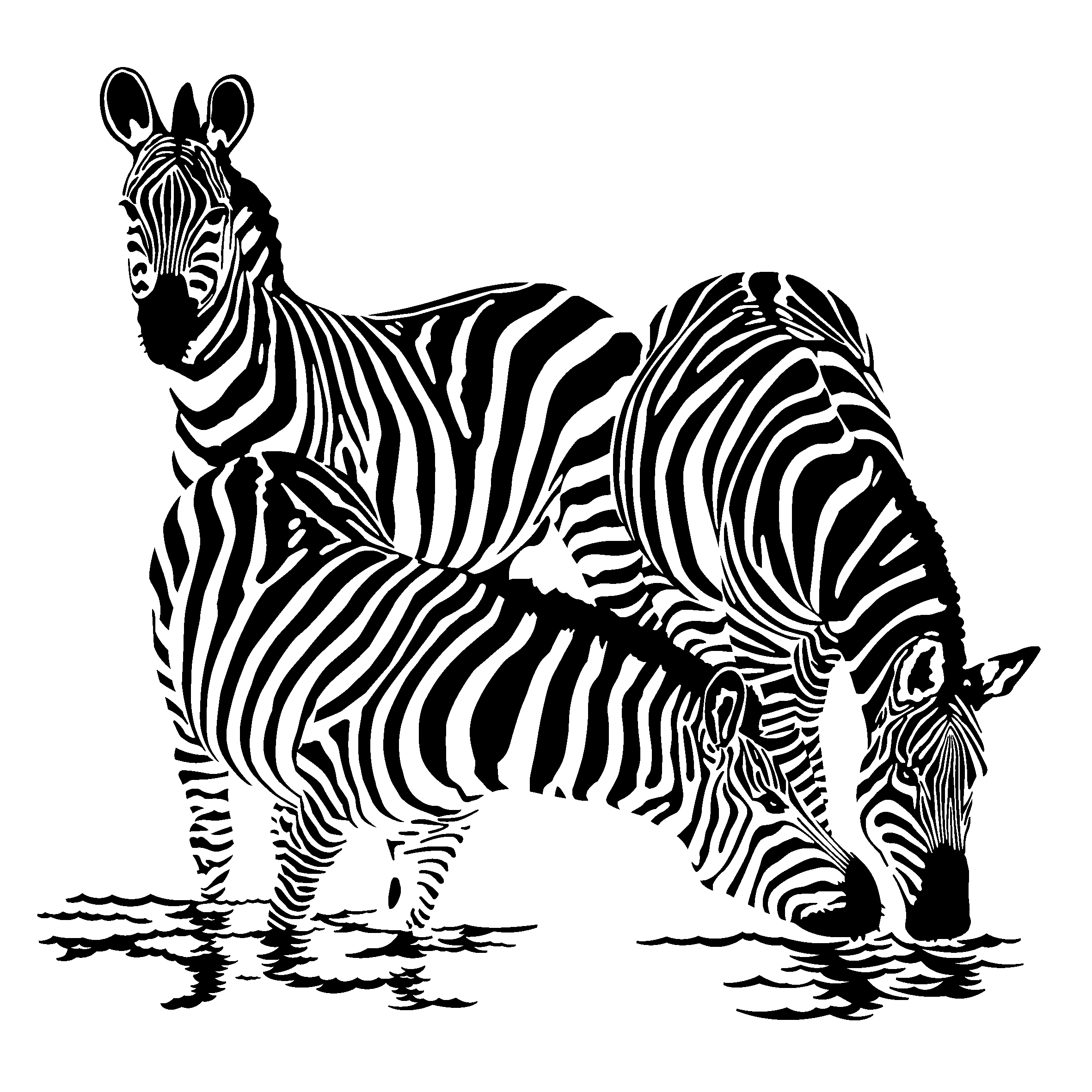 Malvorlage: Zebra (Tiere) #12955 - Kostenlose Malvorlagen zum Ausdrucken