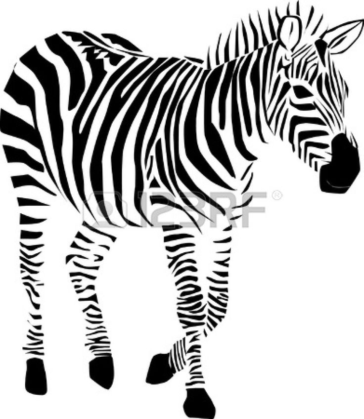 Malvorlage: Zebra (Tiere) #12957 - Kostenlose Malvorlagen zum Ausdrucken