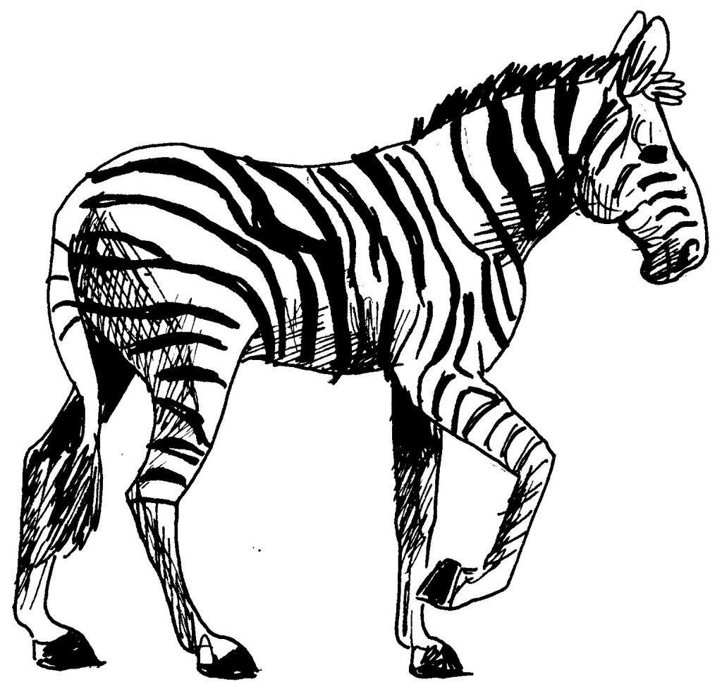 Malvorlage: Zebra (Tiere) #12962 - Kostenlose Malvorlagen zum Ausdrucken