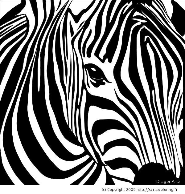 Malvorlage: Zebra (Tiere) #12965 - Kostenlose Malvorlagen zum Ausdrucken