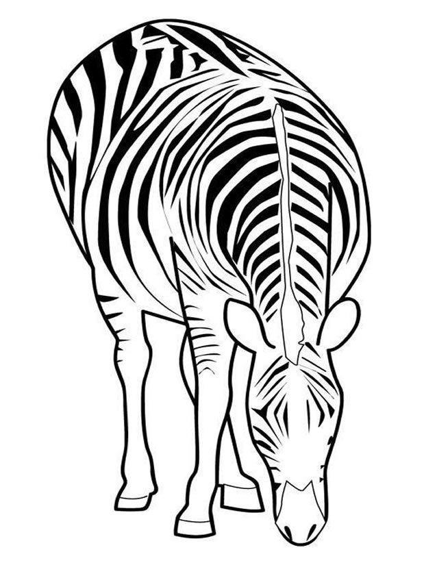 Malvorlage: Zebra (Tiere) #12977 - Kostenlose Malvorlagen zum Ausdrucken