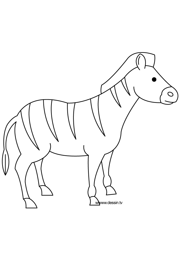 Malvorlage: Zebra (Tiere) #12989 - Kostenlose Malvorlagen zum Ausdrucken