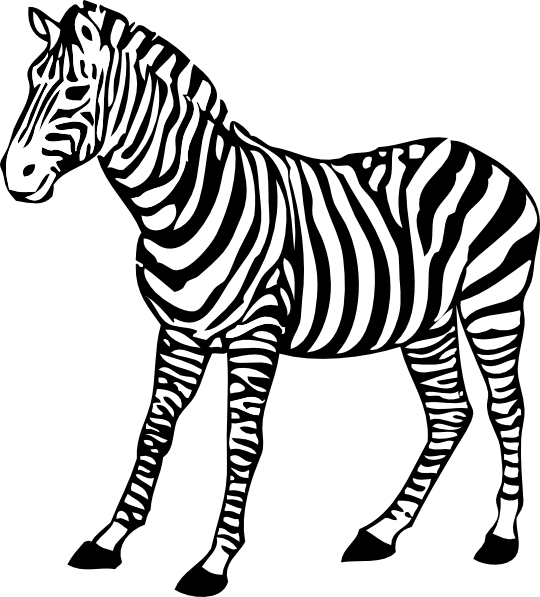 Malvorlage: Zebra (Tiere) #12992 - Kostenlose Malvorlagen zum Ausdrucken