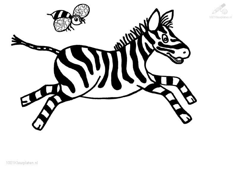 Malvorlage: Zebra (Tiere) #13003 - Kostenlose Malvorlagen zum Ausdrucken