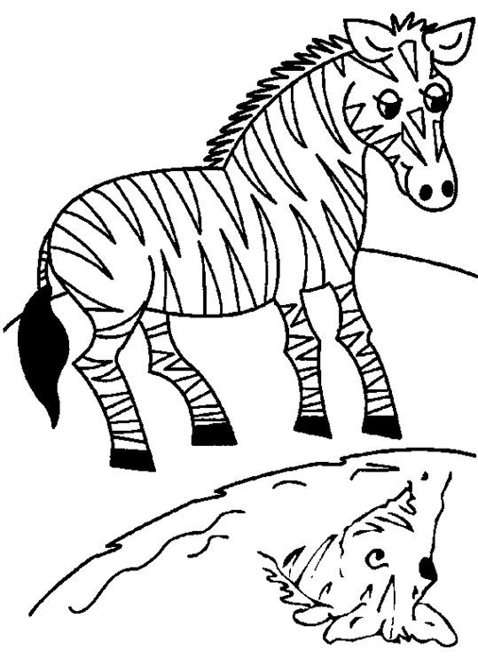 Malvorlage: Zebra (Tiere) #13013 - Kostenlose Malvorlagen zum Ausdrucken