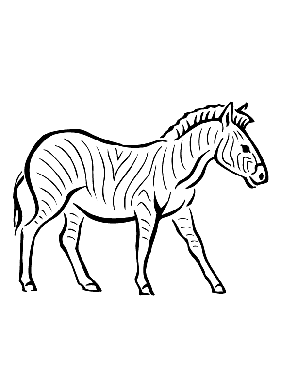 Malvorlage: Zebra (Tiere) #13032 - Kostenlose Malvorlagen zum Ausdrucken