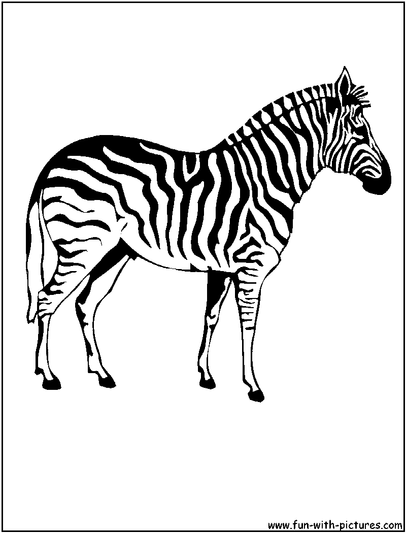 Malvorlage: Zebra (Tiere) #13037 - Kostenlose Malvorlagen zum Ausdrucken