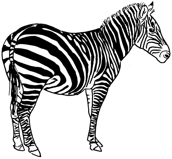 Malvorlage: Zebra (Tiere) #13039 - Kostenlose Malvorlagen zum Ausdrucken