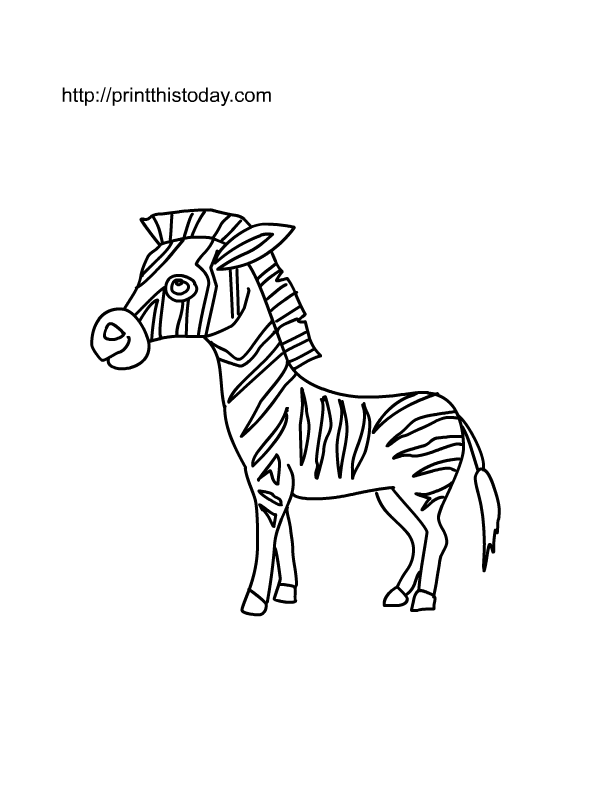 Malvorlage: Zebra (Tiere) #13049 - Kostenlose Malvorlagen zum Ausdrucken