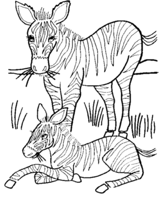 Malvorlage: Zebra (Tiere) #13051 - Kostenlose Malvorlagen zum Ausdrucken