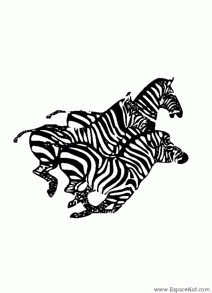 Malvorlage: Zebra (Tiere) #13067 - Kostenlose Malvorlagen zum Ausdrucken