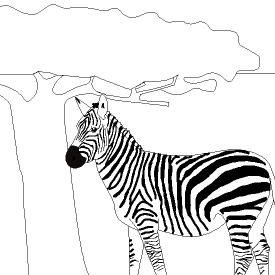 Malvorlage: Zebra (Tiere) #13075 - Kostenlose Malvorlagen zum Ausdrucken