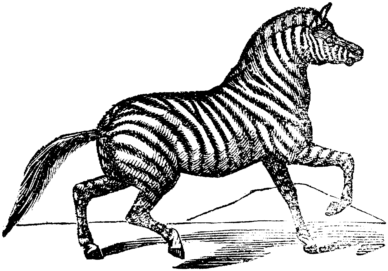 Malvorlage: Zebra (Tiere) #13077 - Kostenlose Malvorlagen zum Ausdrucken